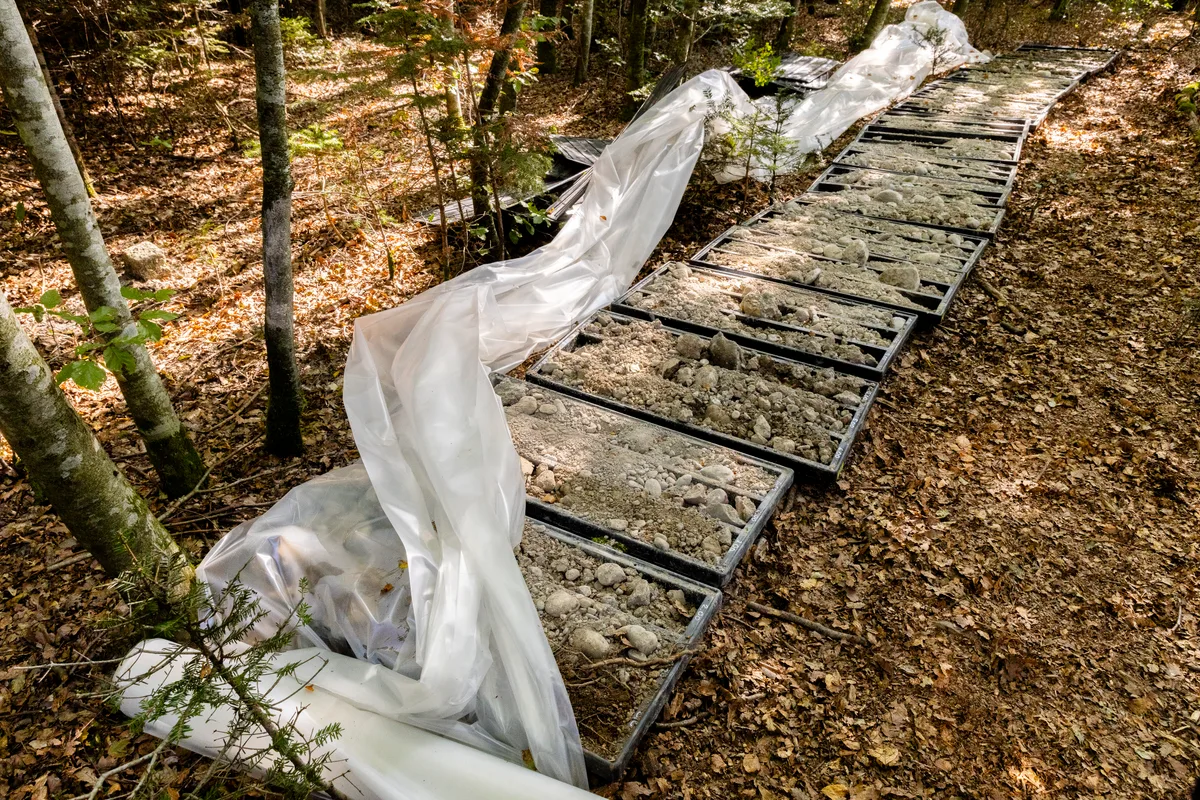Gestein aus dem Boden ist in Plastikkisten ausgelegt.